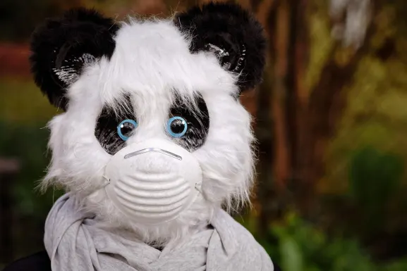 Casino Hot Line Podrška